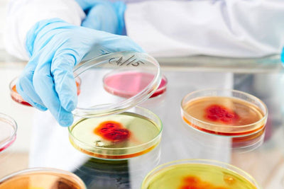 MRSA Prevention